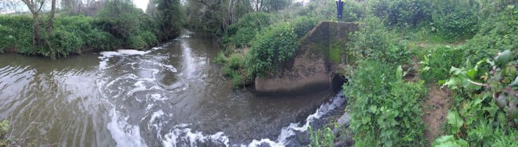A river, grassy bank and bridge