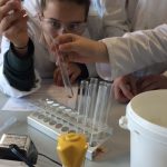A taste of student life at our Applied Science and Engineering residential summer school