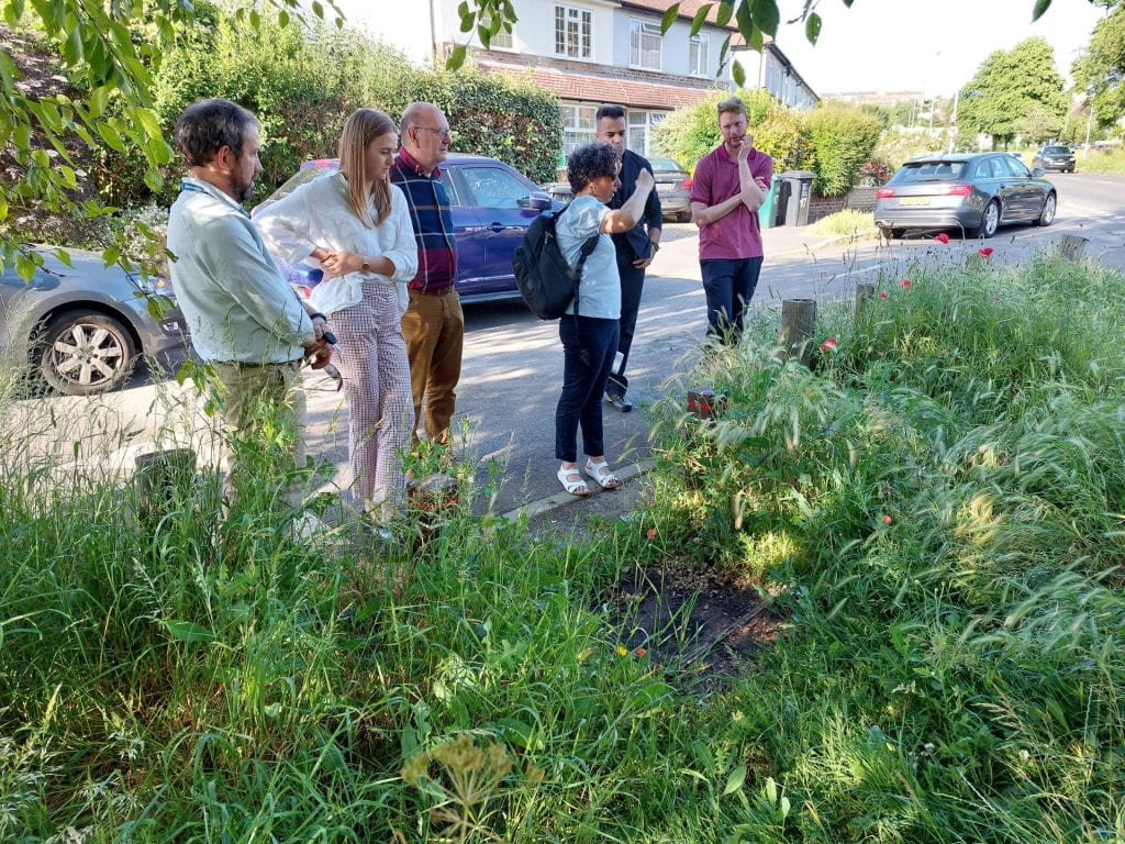 Group of people looking at greenery