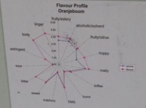 Flavour profile diagram of Shepherd Neame Oranjeboom beer