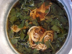 Yarns soaking in re-used woad. After the dye has been extracted the first time a second use of it creates a pink colour.