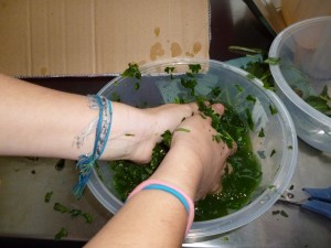 Mixing vinegar and woad leaves together