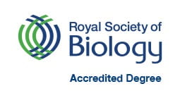 RSB accredited degrees logo