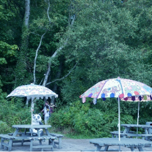 Tables with benches and umbrellas in wood