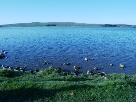 lake with grassy bank
