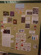 Notice board with photos and info pinned to it