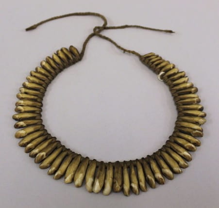 photograph of a necklace made from the teeth of dolphins