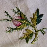 Embroidered wild rose