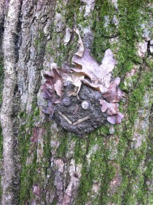 Forest-school smily face made from tree bark and leaves