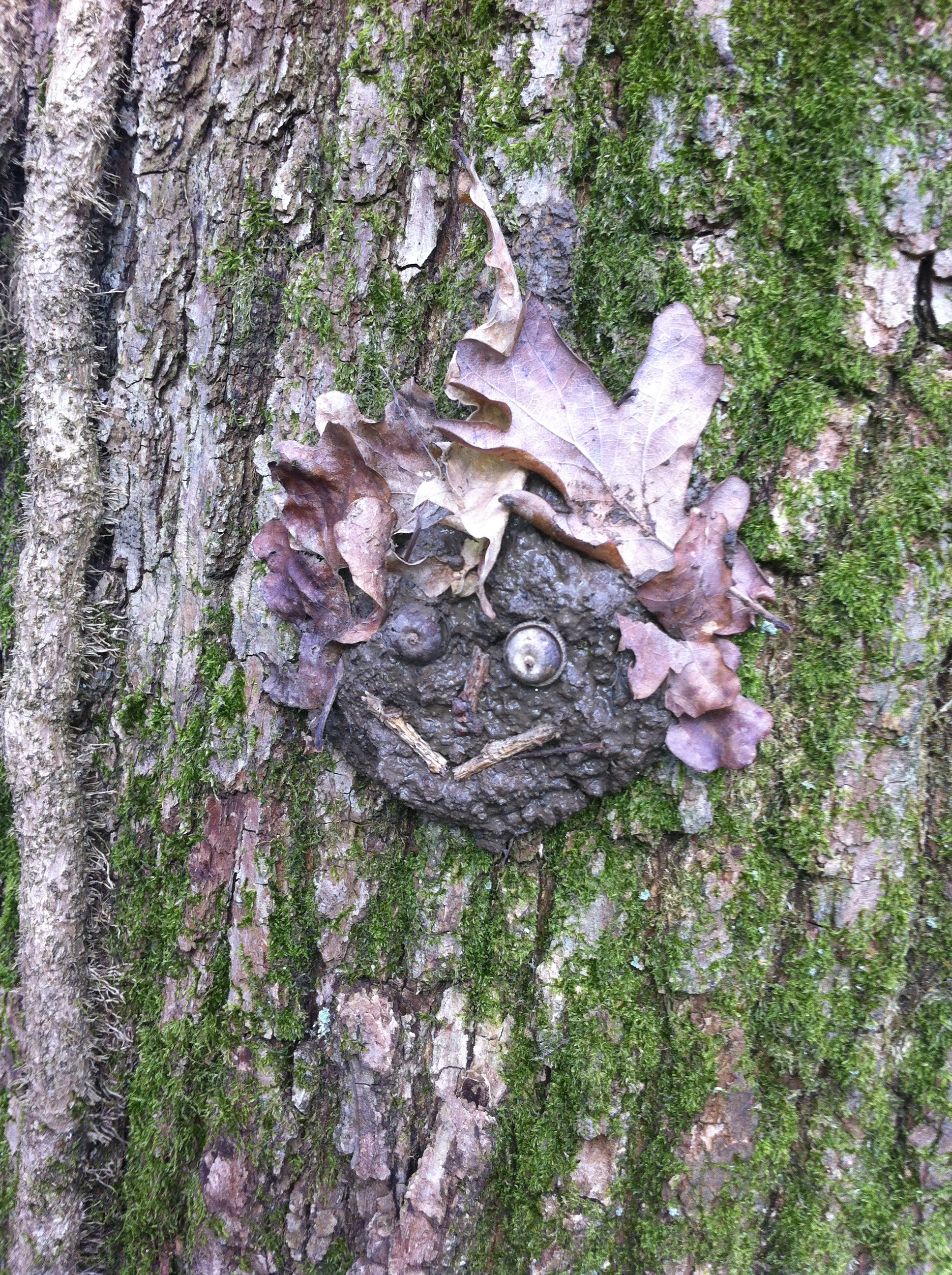 Forest-school smily face made from tree bark and leaves