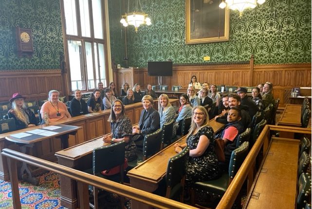 trainee teachers in the house of commons