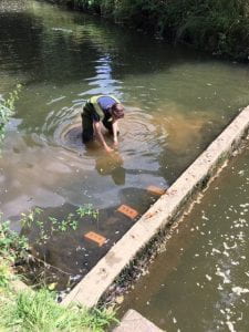 Male student carrying out rivers research