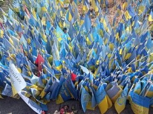 Ukrainian flags commemorating fallen soldiers.