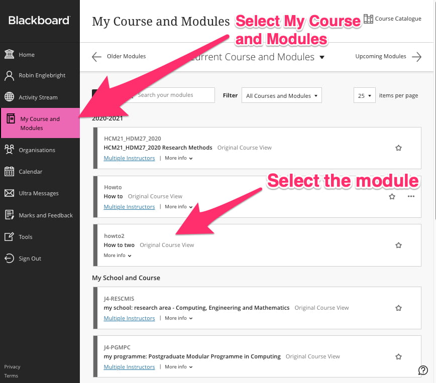 select my course and modules