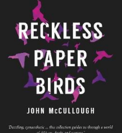 reckless paper birds book cover