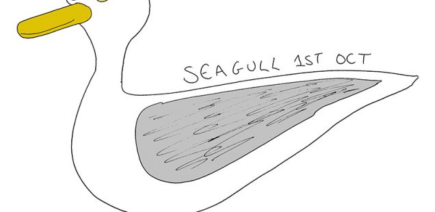 Seagull #Inktober Day 1