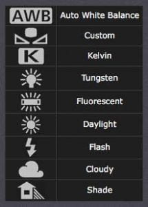 Visual guide to the different symbols for white balance settings on your camera, for example a picture of a sun for daylight.