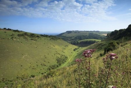 Devil’s Dyke in the South Downs shows the hilly grasslands which so much of Changing Chalk will be focused around. (Source: Countryside Jobs Service, 2022)