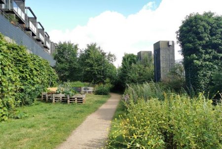 On the Brighton Greenway – vegetable beds and apartments to the left, wild flower patch and old locomotive track pillars to the right. (source: Jasmine Cook 2022)
