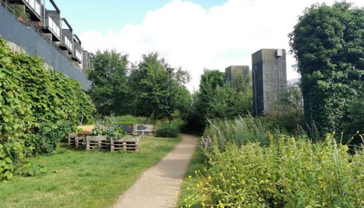 On the Brighton Greenway – vegetable beds and apartments to the left, wild flower patch and old locomotive track pillars to the right. (source: Jasmine Cook 2022)