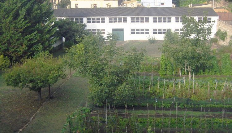 The Catalan City of Girona contains many functioning urban agricultural sites such as this food-productive garden at the Monastery San Daniel. (source: Katrin Bohn 2019)