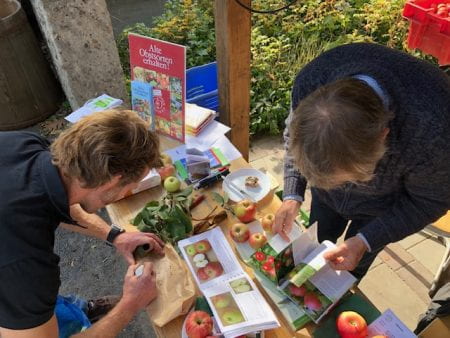A pomologist at work during the Apple Fête 2018 identifying apple varieties that participants brought from their allotments and back gardens. (source: Michael Plögert 2018)