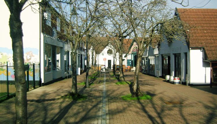 The Wynd, a pedestrianised retail and artisan-workshop street in the centre of Letchworth, is lined with two rows of fruit trees. (source: Katrin Bohn 2020)