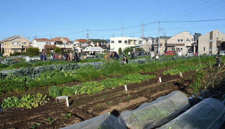 A resilient food system will be distributed and evenly spread, so that, if shocks occur, small amounts of food from many produces can be sent to places in need. The Kato Farm in Nerima City, Tokyo, is a good example of how this resilient urban landscape may look and how it can be used. Socially embedded food systems working as part of a larger network, like this one, have much to offer as we rethink post Covid 19 and in the midst of climate change adaptation and mitigation. (image: Bohn&Viljoen 2019)