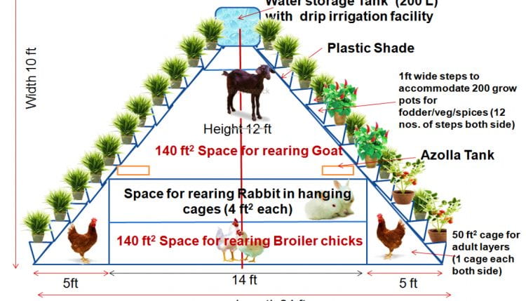 Chatterjee et al. refer to this Integrated Vertical Farming System at Tripura, India, developed and live tested by ICAR Research Complex. (source: Singh, A. KVK South Tripura 2015)