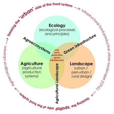 There is a need to integrate the ‘urban’ and the ‘spatial’ sides of the food system into future urban and regional planning. (source: Katrin Bohn and Dong Chu 2019)