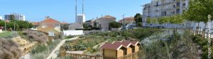 Participating city Cascais focusses on the NbS category ‘community-based urban farms and gardens’. (source: Cascais Ambiente 2022)