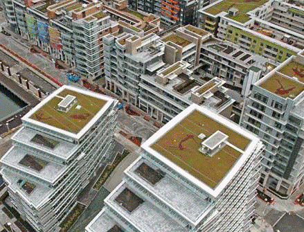 Aerial view of multiple green rooftops. (Source: City of Vancouver, 2022)