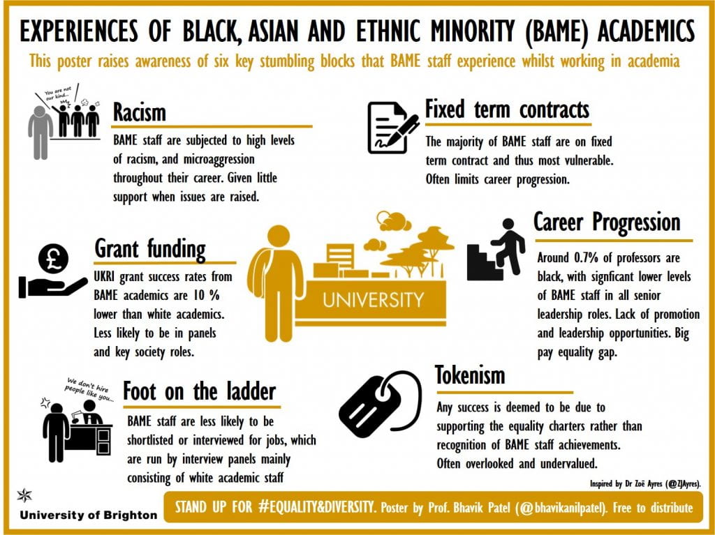 Experiences of Black Asian and Ethnic Minority Academics