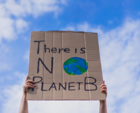 There is no planet B placard