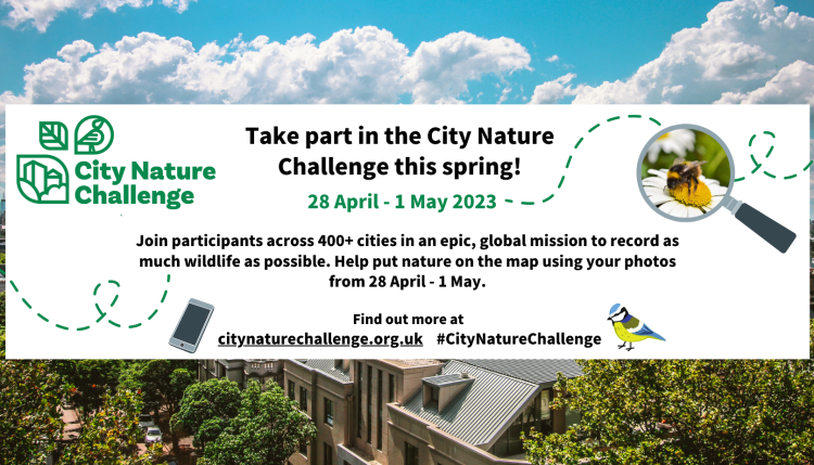 City Nature Challenge 2023