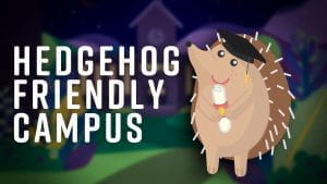 A cartoon hedgehog wearing a mortar board next to the text "Hedgehog Friendly Campus"