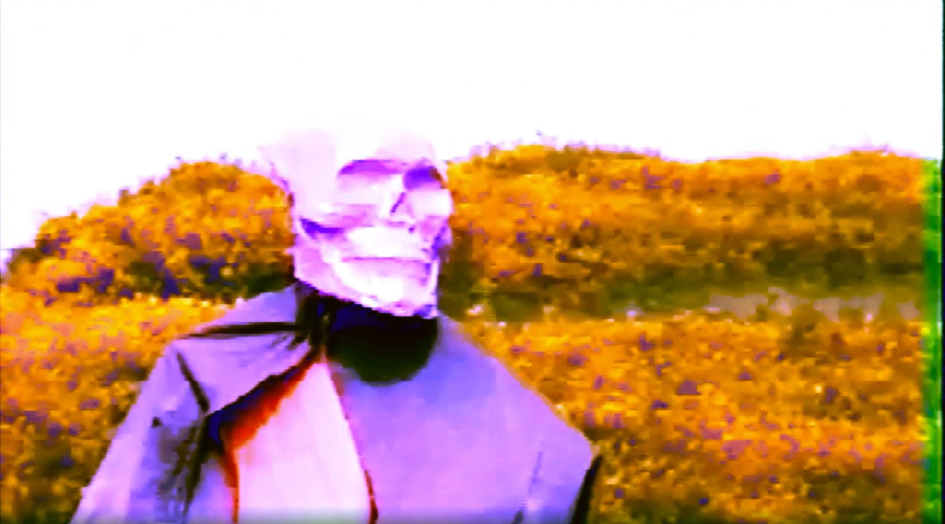 experimental film art video limbo dante death skull hi8 camera 