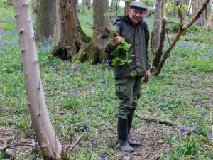 Tim waves around a bunch of sycamore seedlings - or should I say trophies!