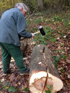 John begins splitting the trunk with two steel wedges and a sledge hammer
